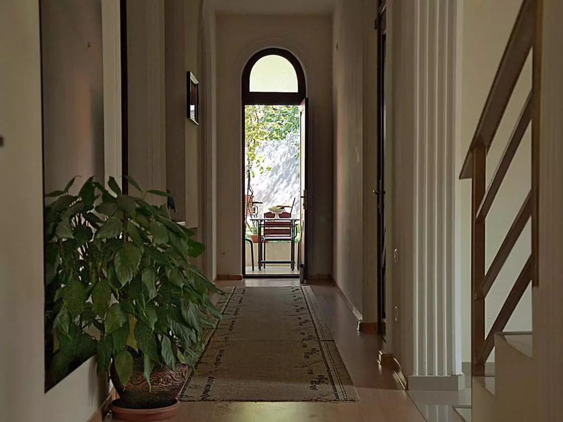 GARDEN_SHABAVIZ (3).jpg